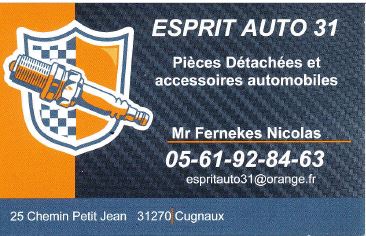 esprit auto 31